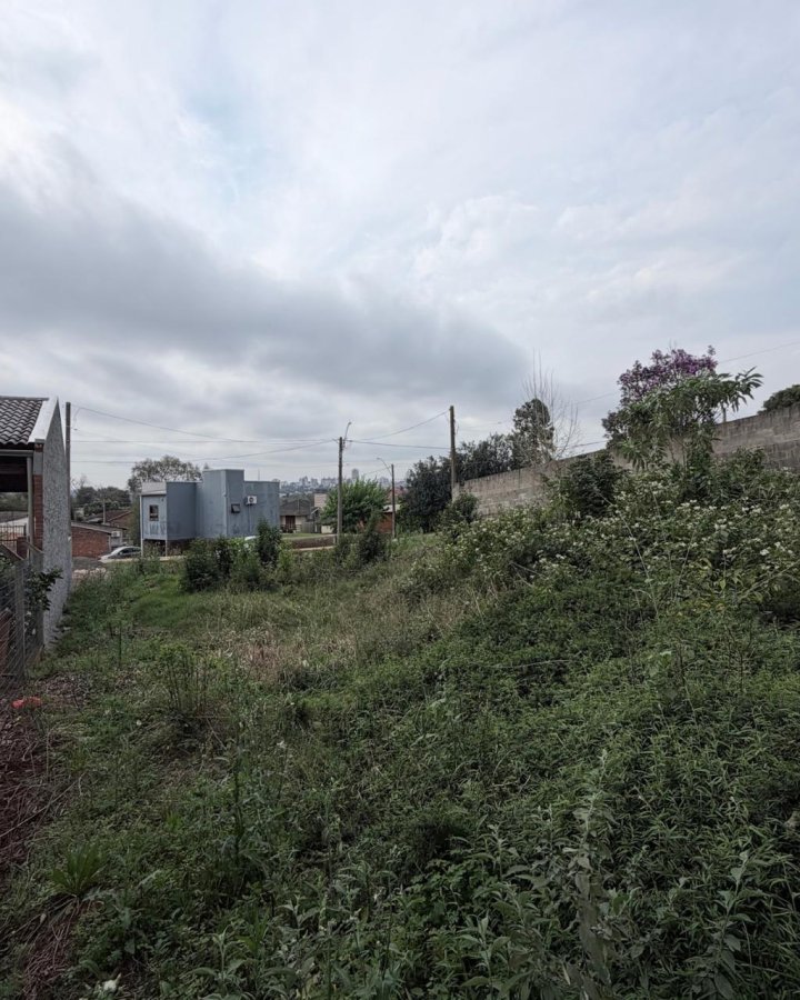 Terreno à Venda - Bela Vista (Planalto)