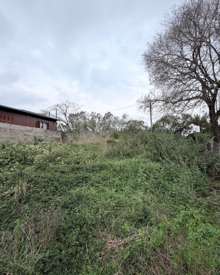 Terreno à Venda - Bela Vista (Planalto)