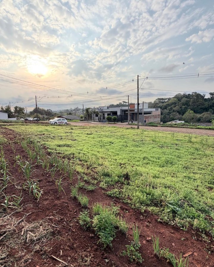 Terreno à Venda -  Central (Oliveira)