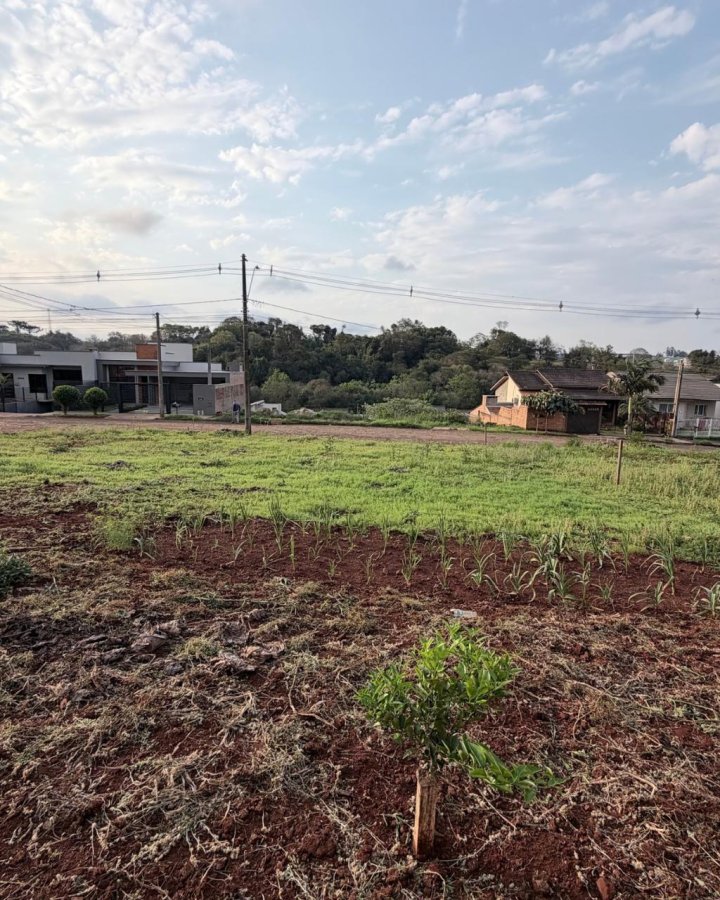 Terreno à Venda -  Central (Oliveira)