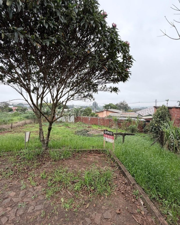 Terreno à Venda - Cruzeiro (Próximo ao Mosteiro)