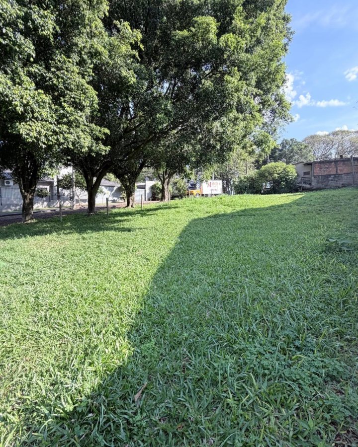 Terreno à Venda - Central (Oliveira)