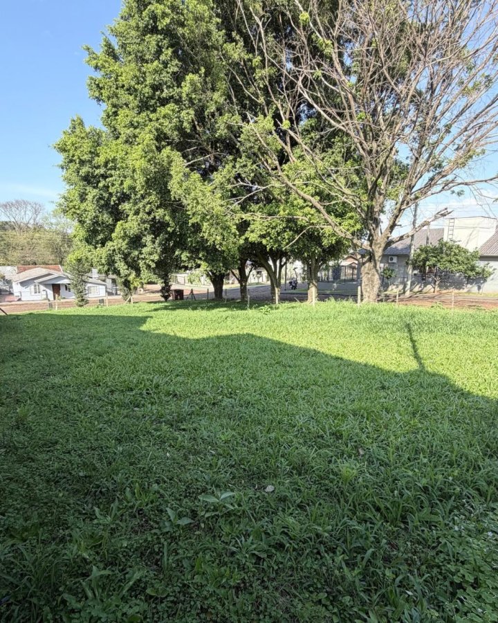 Terreno à Venda - Central (Oliveira)