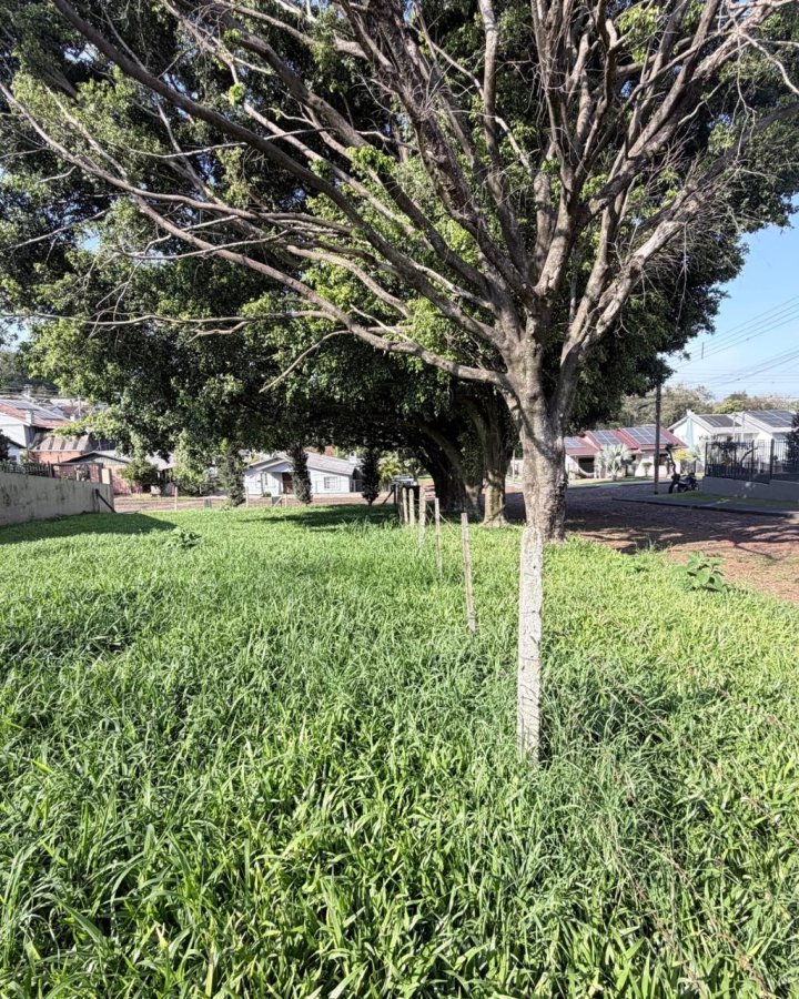 Terreno à Venda - Central (Oliveira)