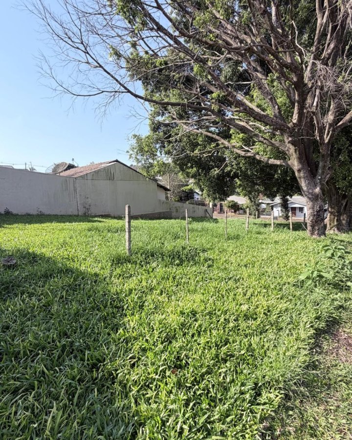 Terreno à Venda - Central (Oliveira)