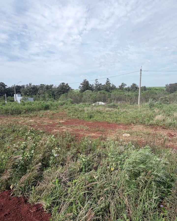Terreno à Venda- Colina