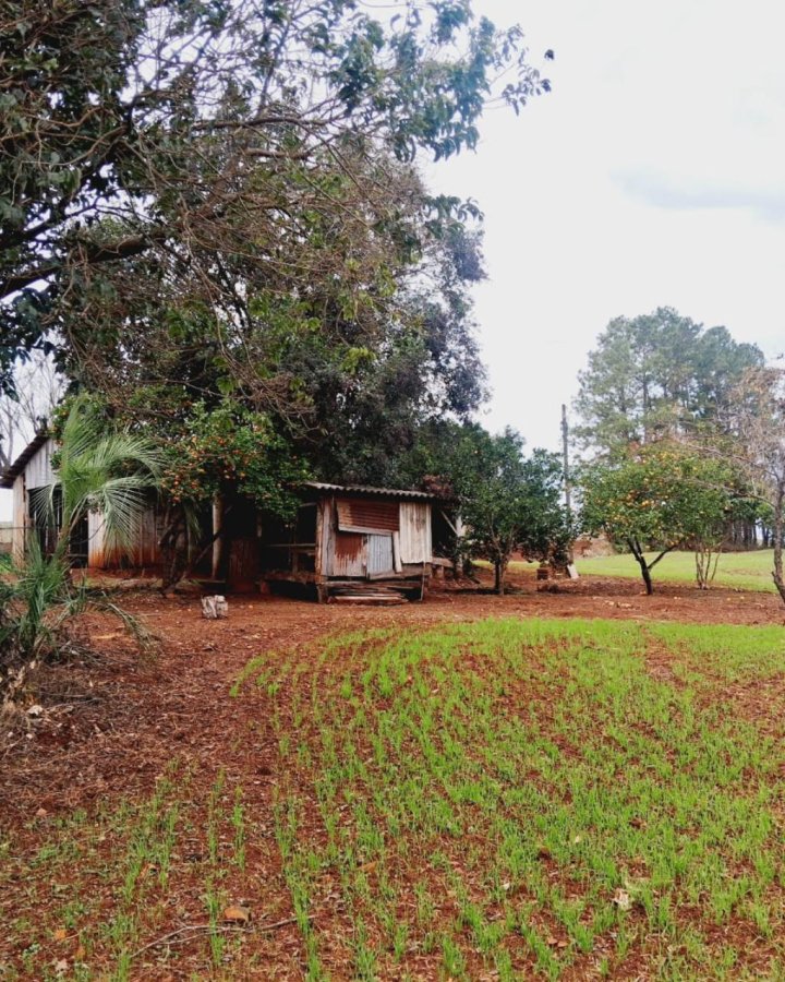 Sítio à Venda - Linha Giruazinho