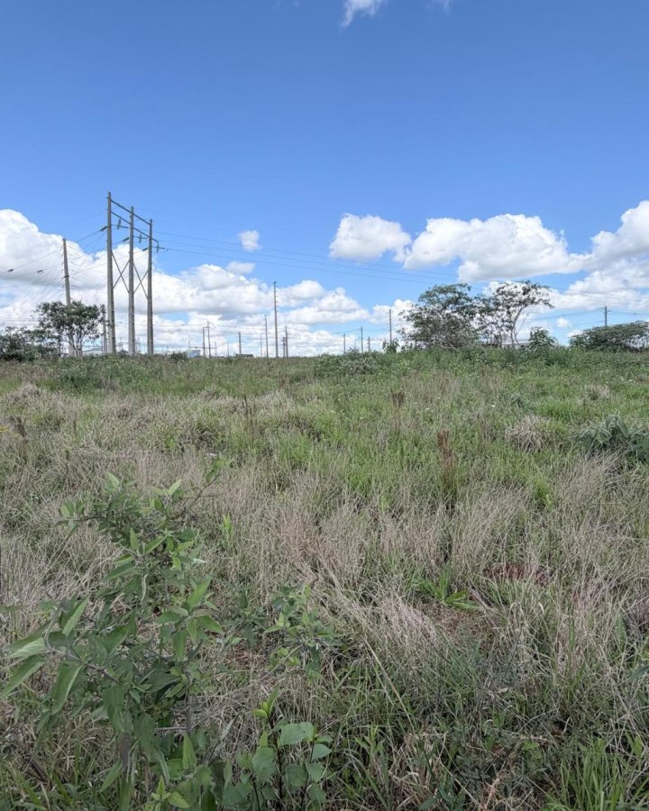 Terreno à Venda - Alto da América
