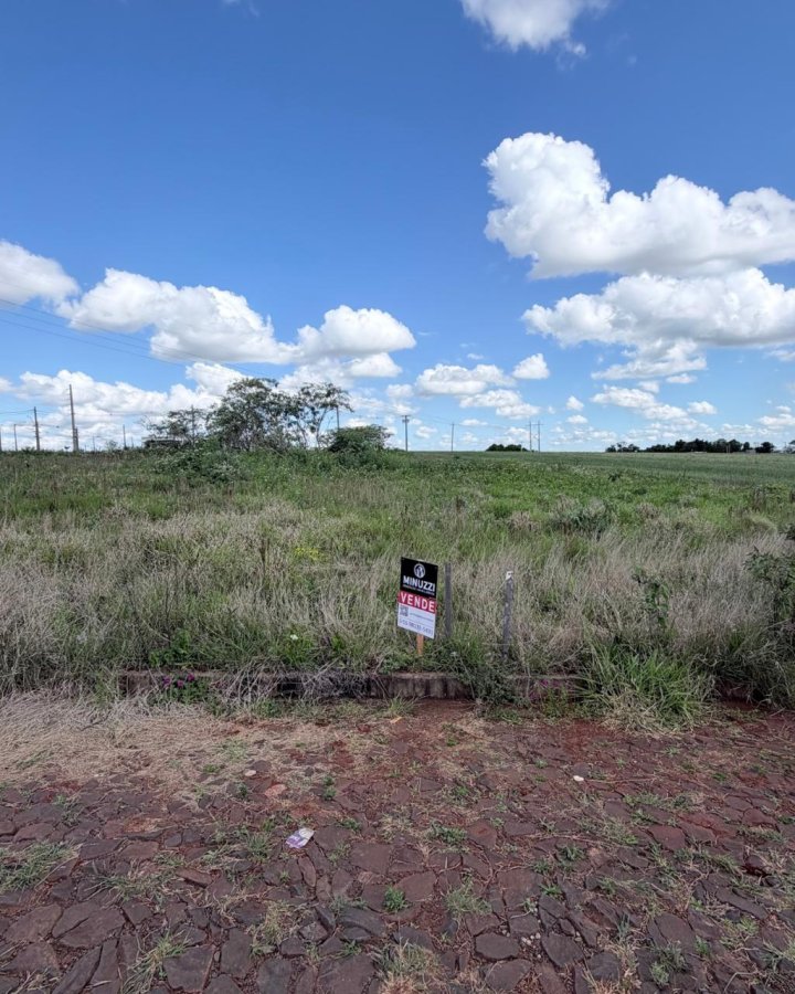 Terreno à Venda - Alto da América